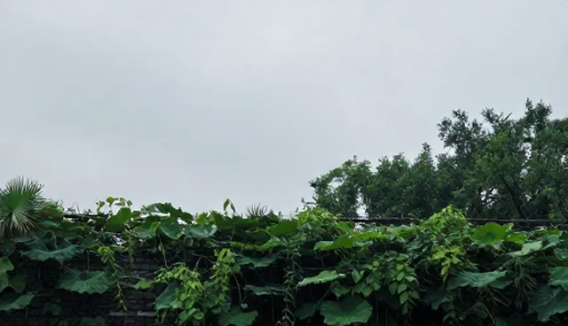 开发效率受运维支持服务影响的原因分析
